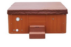 Hot tubs and Spas