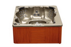 Hot tub spa model tal