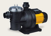 Single-stage centrifugal pool pump 550 W 3/4 HP